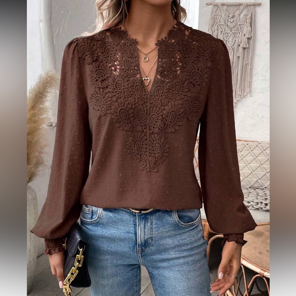 Elegant Brown Swiss Dot Lace Blouse